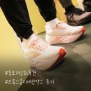 오즈맥스코리아(주) | 브룩스 글리세린 맥스 6개월 후기 I 내돈내산 발편한 여성 러닝화 추천