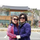 강해숙