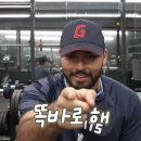 서울갈매기