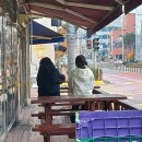 석림초등학교 이미지