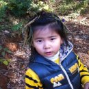 안서초등학교 병설유치원 이미지