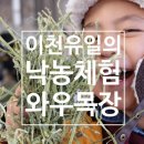 선두목장 이미지