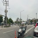 정화네 동태국 이미지