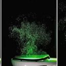 노루 화장실 이미지