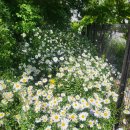 키즈아트어린이집 놀이터 이미지