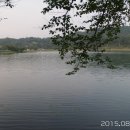 의림지-07 이미지