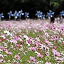 [원주자전거가게] 2016년 전국 가을축제!! 이미지