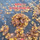 마음 품은 캘리그라피 이미지