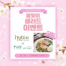 피티데이 이미지