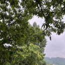 의당농협 의랑지점 | 소한뜰 건강길