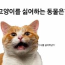 한*대