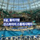아쿠아베이 어린이 수영장 | 인스파이어 스플래시베이 수영장 5살 아이, 돌아기랑 다녀온 후기 준비물부터 입장권 할인까지