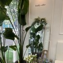 예일복합타워 | 동두천 지행역 카페 보틀케이크가 맛있는 보틀리