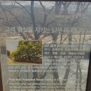 연천-10 이미지