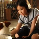 다Dog다Dog 이미지