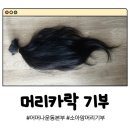 GS25영서본부점 | 소아암 환자를 위한 머리카락 기부 | 보내는 방법 및 주소 | 어머나운동본부 후기