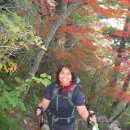 설악동 B 주차장 이미지