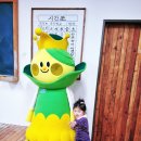 순창발효#10 | [주말 일상] 아이 둘 데리고 다녀온 순창 발효테마파크 솔직 후기