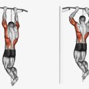 피트니스 에스 핏 이미지