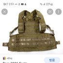 이글사 Daum카페
