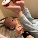 (유)라일