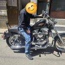 883 | 할리데이비슨 883 다운시트 순정원단 제작 후기 | 대림동 오토바이 시트 전문 삼아시트