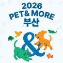 멍군애견 | 2026 부산 반려동물 박람회 펫앤모어 남은 하루 꿀팁 대방출