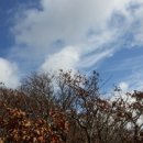 부부합동공인중개사사무소 이미지