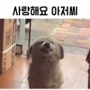 세븐일레븐 중산성원점 | 2025년 6월 대만여행-2