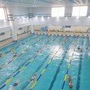 매일스포렉스 이미지