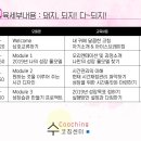 돼지되지 네이버블로그