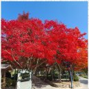 희망펜션 이미지