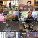 힐링하우스 시즌2 이미지