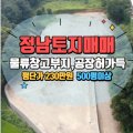 황금호박부동산공인중개사사무소 이미지