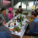 일광장어 이미지