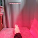 한숲한의원 이미지