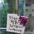 작은눈마켓