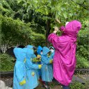 독산 현대 이미지