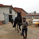 하노버승마장 이미지