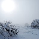 하얀천국 이미지