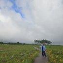 반딧불이마을 영농조합법인 이미지