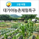 대가야농촌문화체험특구 캠핑장 이미지