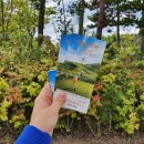 (주) 아워홈 더플레이어스GC점 | 골프 갤러리 관람 제이드팰리스GC 한화클래식 2019