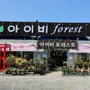 아이비포레스트화원