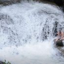 물레방아정육점 이미지