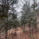 바람고개길 | ⛰️ 낙남정맥의 숨결을 느끼다! 너더리고개 등산 후기