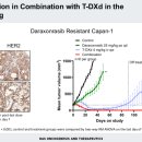 바이오메디신 이미지