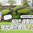 [SUB] 꽃이 져도 푸르른! Grandpa's bonsai | KBS제주 20220930 방송 이미지