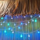 목동포차 이미지