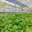 자연한식 이미지